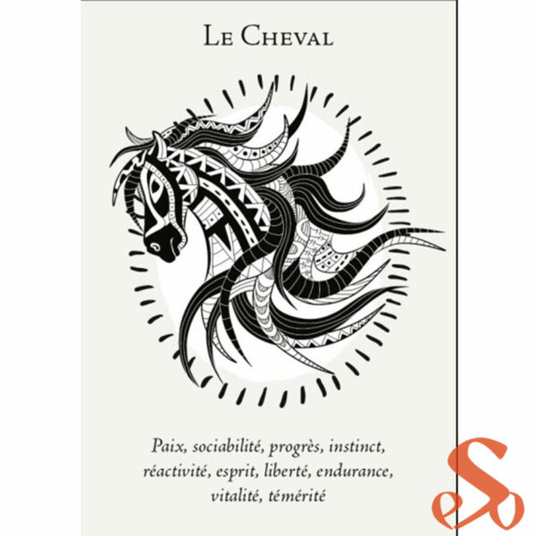 La-boite-du-chaman-cheval