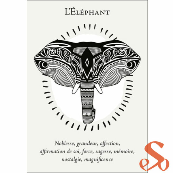 La-boite-du-chaman-elephant